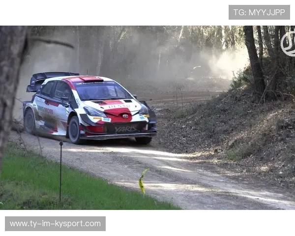 WRC德国赛:多弯道中的速度与策略较量,wtcr2021德国站 WRC德国赛:多弯道中的速度与策略较量,wtcr2021德国站