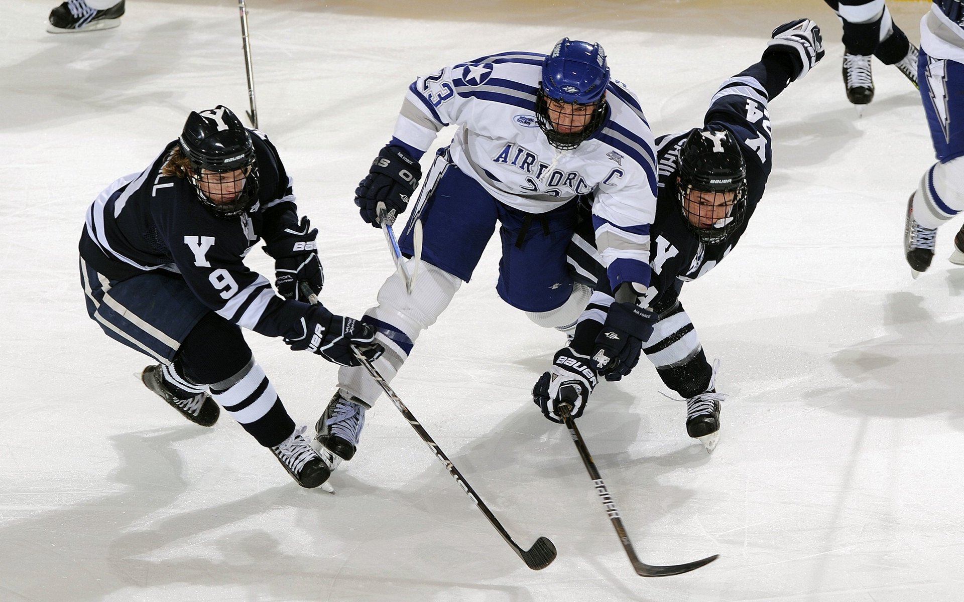 田径运动训练平台支持跨项目数据整合,田径教学网站